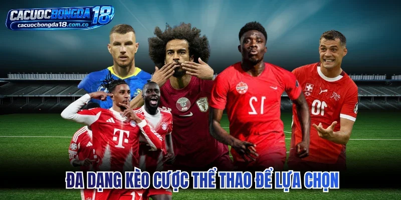  Đa dạng kèo cược thể thao để lựa chọn