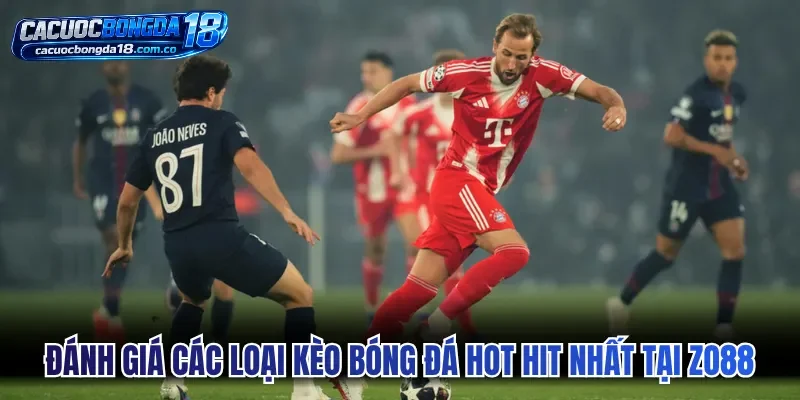 Đánh giá các loại kèo bóng đá hot hit nhất tại Zo88