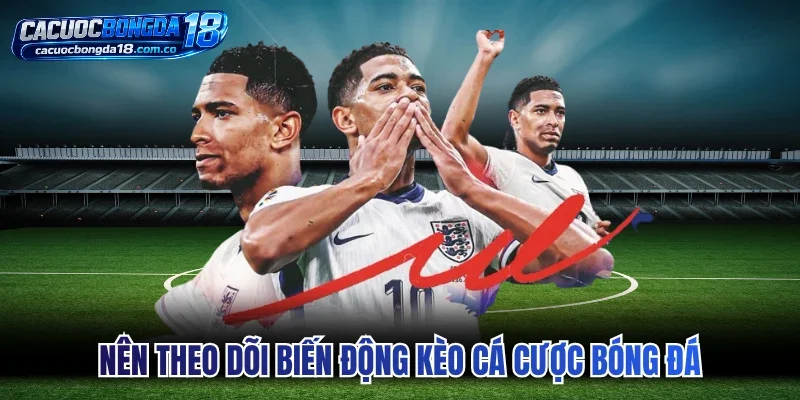 Nên theo dõi biến động kèo cá cược bóng đá