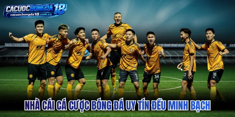 Nhà cái cá cược bóng đá uy tín đều minh bạch